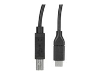 StarTech.com USB C to USB B Printer Cable - 10 ft / 3m - USB C Printer Cable - USB C to USB B Cable - USB Type C to Type B (USB2CB3M) - USB-kabel - 24 pin USB-C (hann) rett til USB-type B (hann) rett - Thunderbolt 3 / USB 2.0 - 3 m - svart - for P/N: SV231DHU34K6, SV231HU34K6, SV231QDPU34K, SV431HU34K6 USB2CB3M