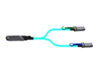 NVIDIA - 200GBase til 2x 100GBase direkte tilkoblingsspliterkabel - OSFP finned til QSFP56 flat - 5 m - fiberoptisk - Active Optical Cable (AOC) 980-9I111-00H005