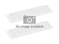 Cisco - Minne - modul - 8 GB - DIMM 240-pin - ikke-bufret - ECC - for Integrated Services Router 4331, 4351 MEM-4300-8G=
