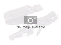 Cisco - Fordypningsplate for mikrofon - første lys (en pakke 3) CS-MIC-ARY-RCPL-L=