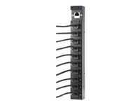 HPE Advanced Power Manager - Strømfordelerenhet - utgangskontakter: 10 - for Apollo n2600 Gen10 Plus Small Form Factor; ProLiant XL290n Gen10 Plus 620002-B21