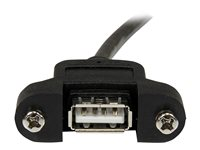 StarTech.com 1 ft Panel Mount USB Cable A to A - F/M - USB extension cable - USB (M) to USB (F) - USB 2.0 - 1 ft - molded, thumbscrews - black - USBPNLAFAM1 - USB-forlengelseskabel - USB (hann) til USB (hunn) - USB 2.0 - 30 cm - formstøpt, tommelskruer - svart - for P/N: UUSBOTG USBPNLAFAM1